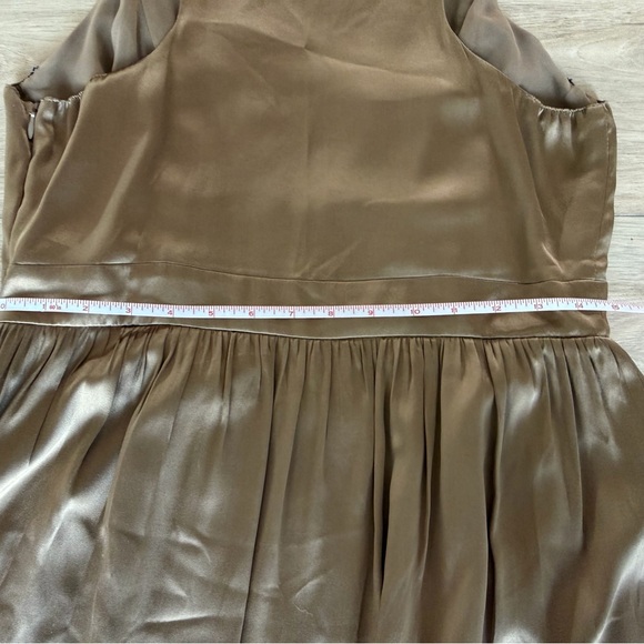 Vfish Taupe Silk Dress with Pleated Trim - Picture 8 of 9